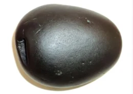 How to identify type of Shaligram?